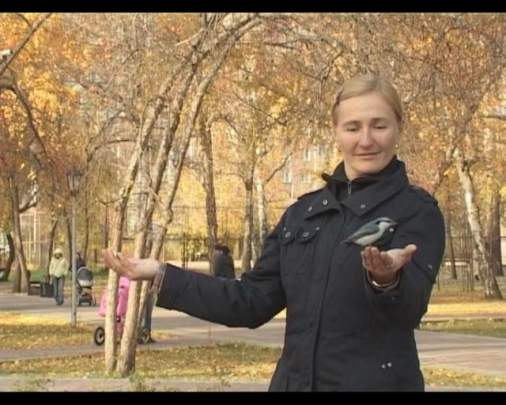 В поисках любви